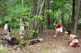 Promenons nous dans les bois 55 * 5184 x 3456 * (12.91MB)